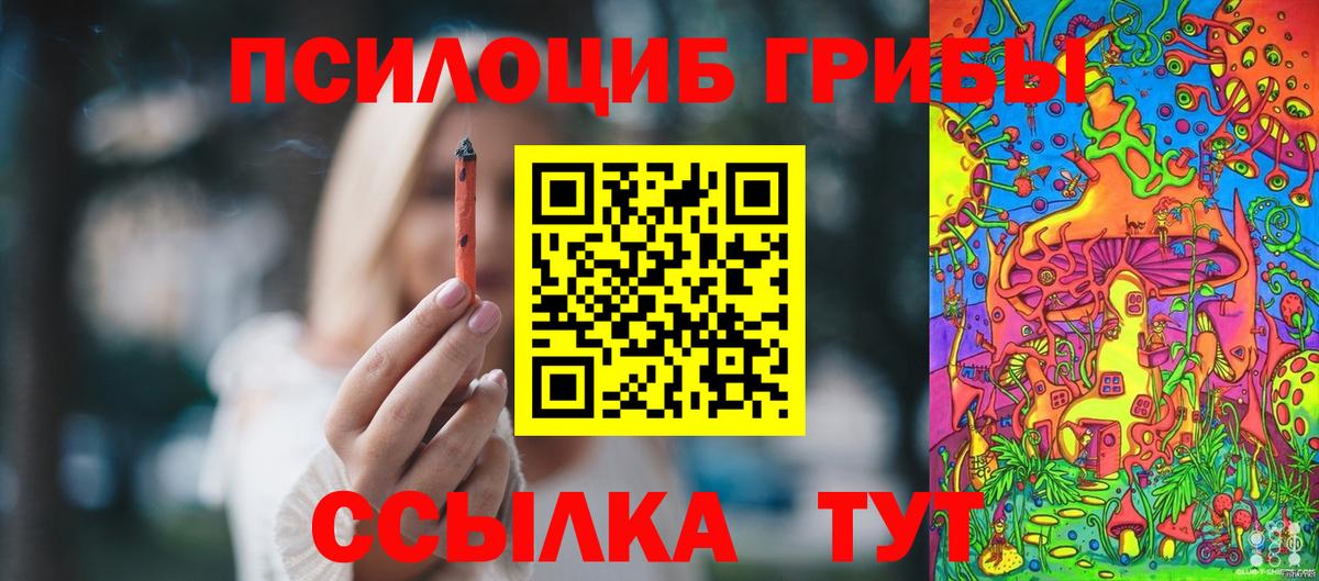 Галлюциногенные грибы мицелий Гурьевск